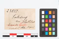 Etikett zu Bronzemehrkopfnadelfragment (NHMW-PRAE-023837)